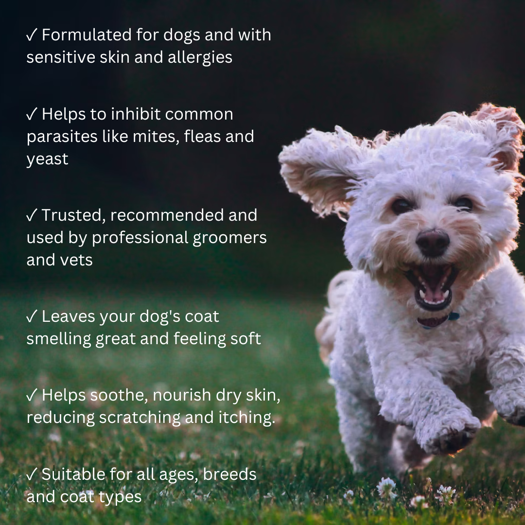 Natural Dog Shampoo 500 ml