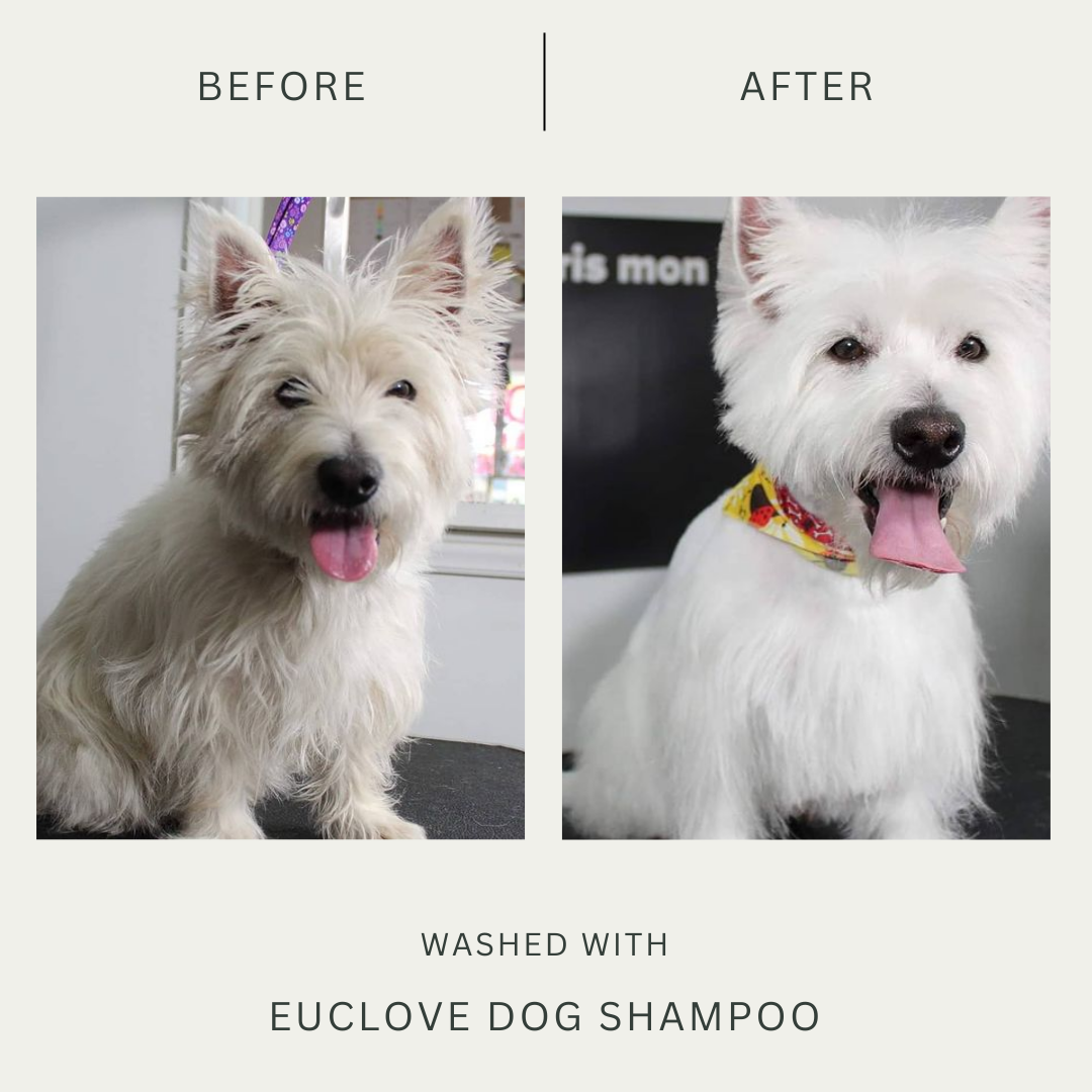 Natural Dog Shampoo 500 ml