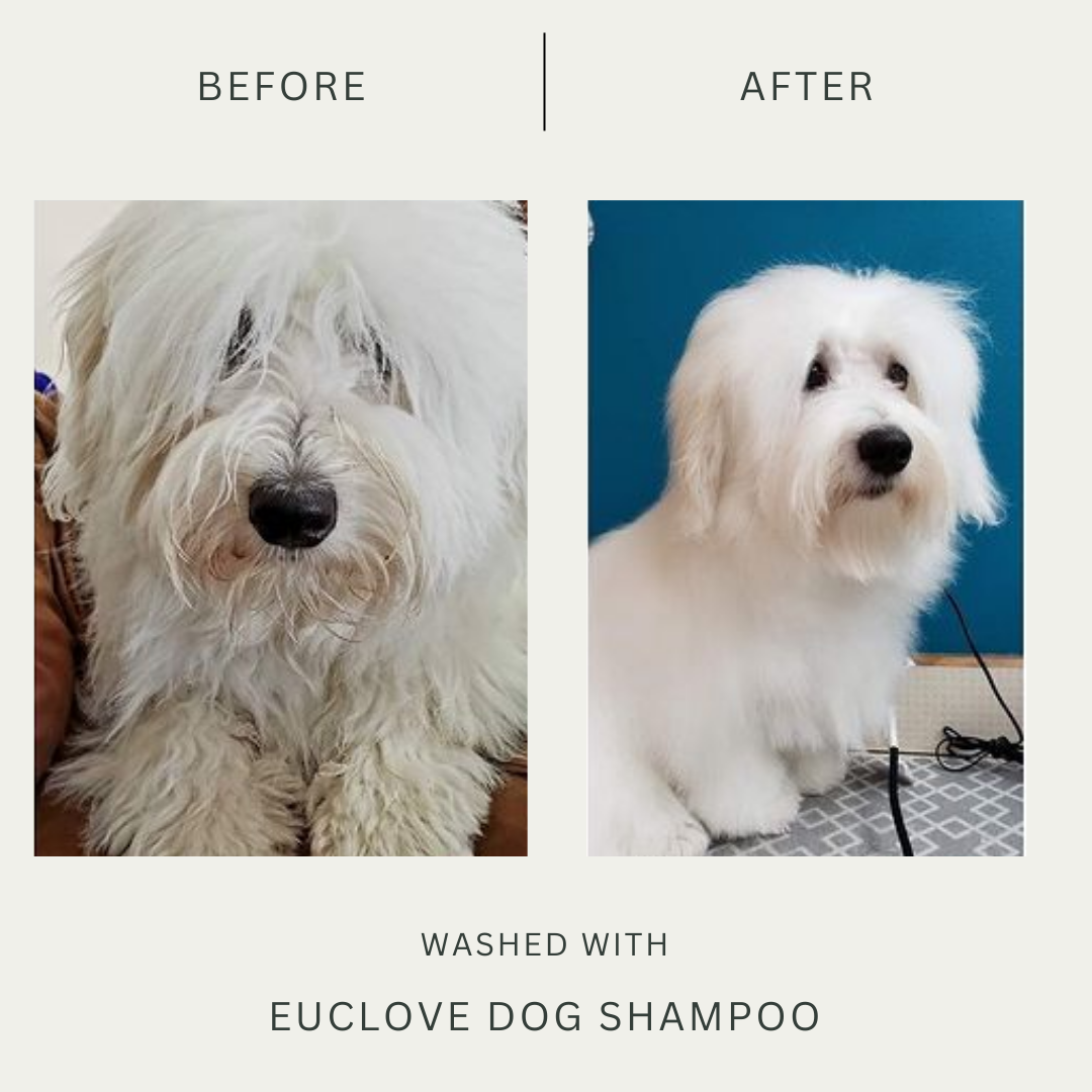 Natural Dog Shampoo 500 ml